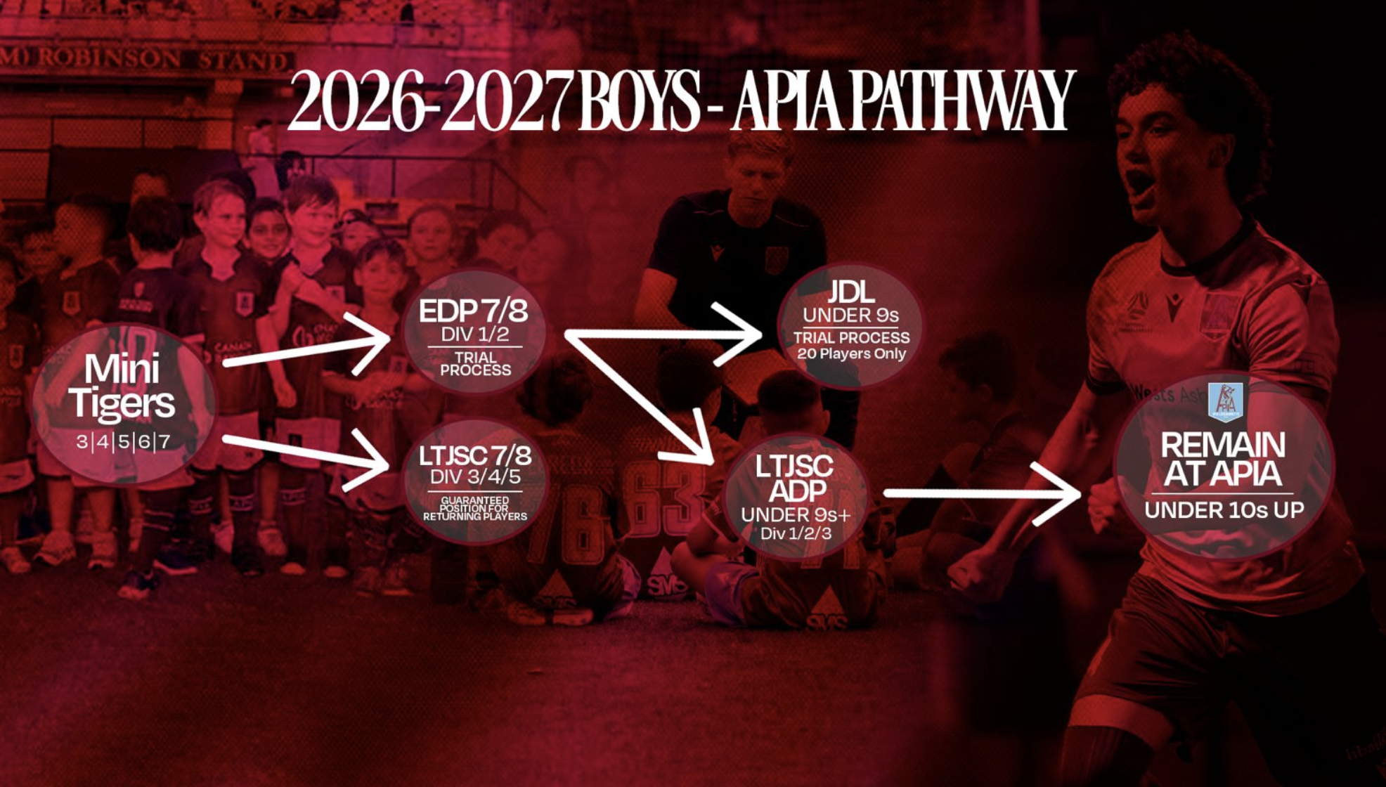 2026-2027 boys APIA pathway: Mini Tigers (ages 3 to 7) lead to EDP 7/8 (Div 1/2, trial process) or LTJSC 7/8 (Div 3/4/5, guaranteed position for returning players). From there, players move to JDL Under 9s (trial process, 20 players only) or LTJSC ADP Under 9s and up (Div 1/2/3), then remain at APIA from Under 10s up.